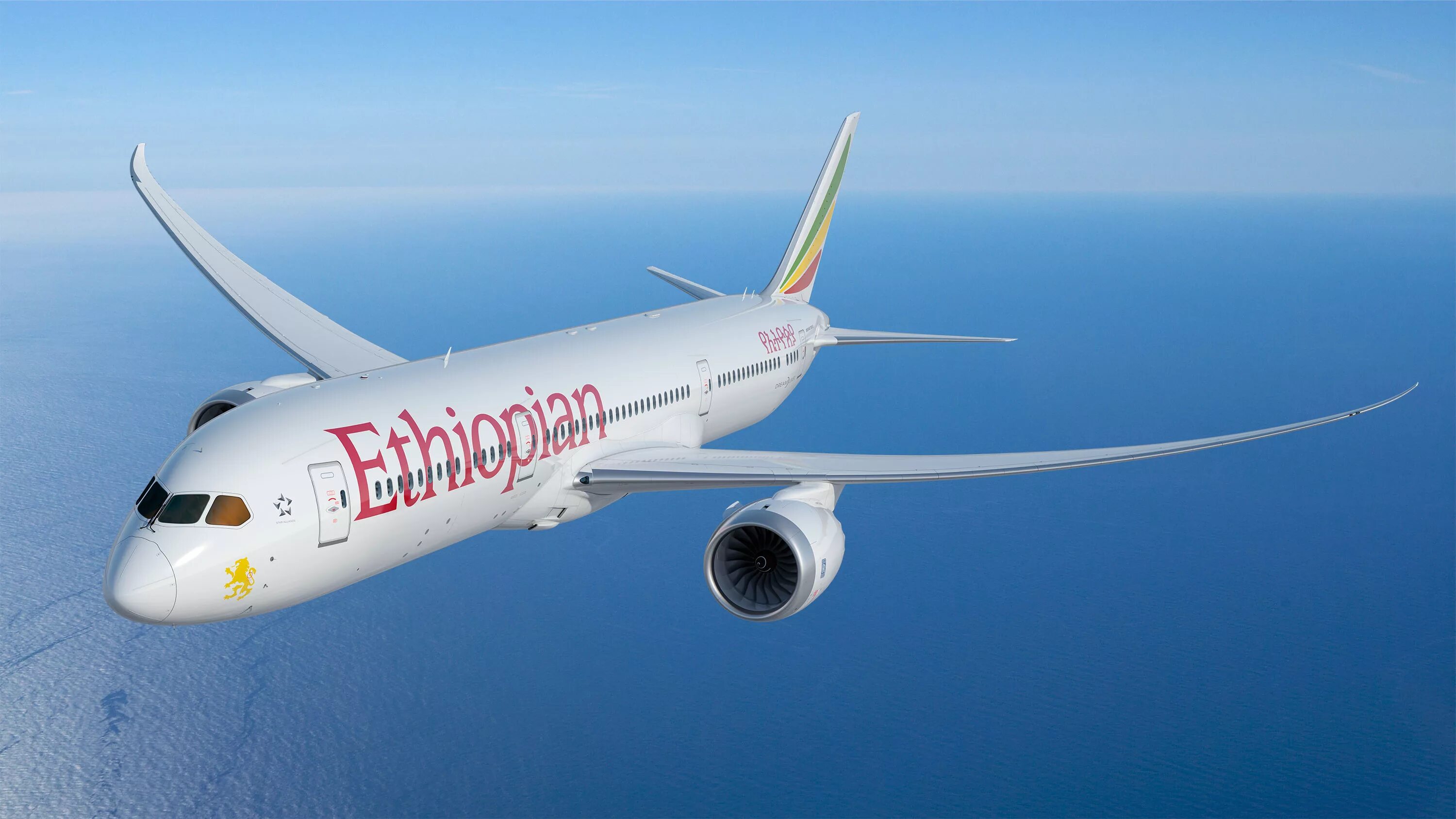 Боинг 787 Дримлайнер эфиопские авиалинии. Boeing 787-8 Эфиопия Эйрлайнс. Ethiopian Airlines самолеты. Эфиопия Аирлинес.