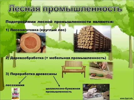 Какие виды производства объединяет лесная промышленность