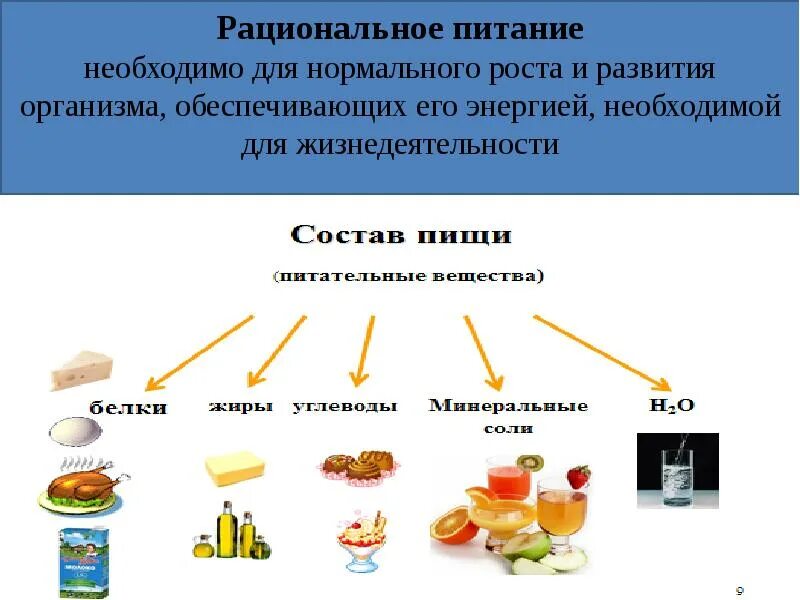 Рациональное питание ОБЖ. Рациональное питание гигиена питания. Гигиенические основы рационального питания. Рациональное питание конспект.