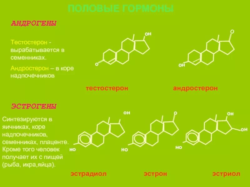 Как проявляется тестостерон. Тестостерон и андростерон. половые гормоны эстрогены и андрогены. мужской гормон андростерон. биохимия половых гормонов.