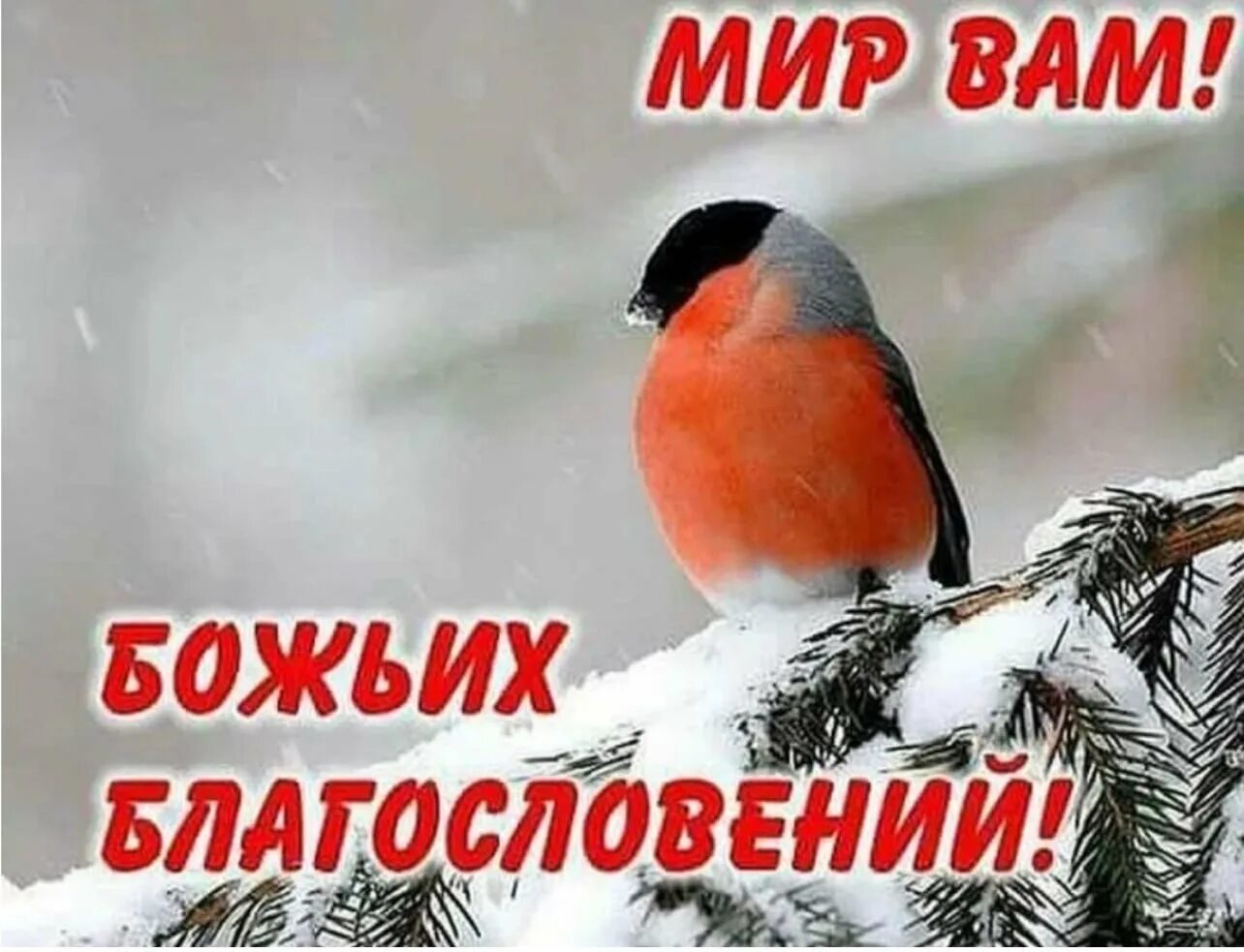 Получите благословение зим абвы. Доброго зимнего дня православные. доброе зимнее утро божьего благословения. божьего благословения на новый год. открытки божьих благословений зимние.