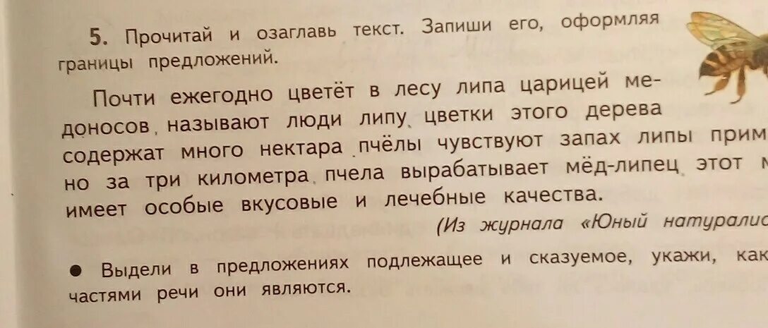 Голубой месяц март озаглавить текст. Границы предложения 2 класс. Границы предложений 2 класс русский язык. Определи границы предложений 2 класс. Границы предложения 4 класс.