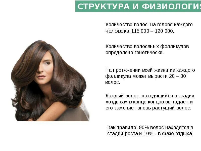 Какой тип кожи головы. Строение и типы волос. разные структуры волос. типы структуры волос. структура прически.