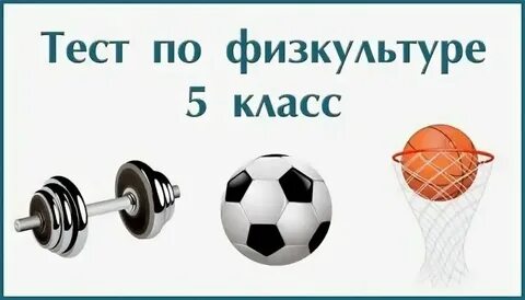 Физкультура 6 класс ответы