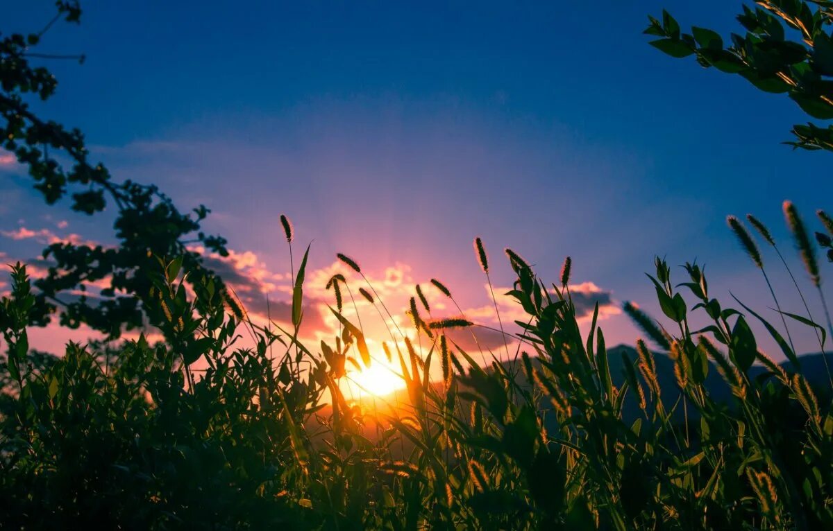 Светит b солнце b. Природа закат. Летний закат. Лето солнце. Утренний рассвет.