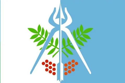 Флаг ижевска