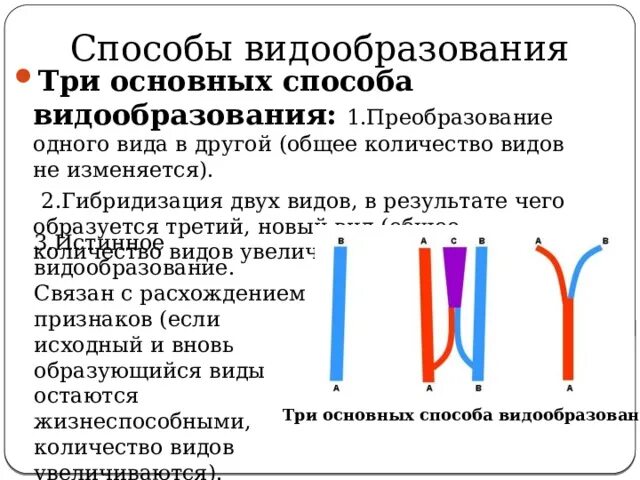 PPT - Вид и видообразование PowerPoint Presentation - ID:4148421