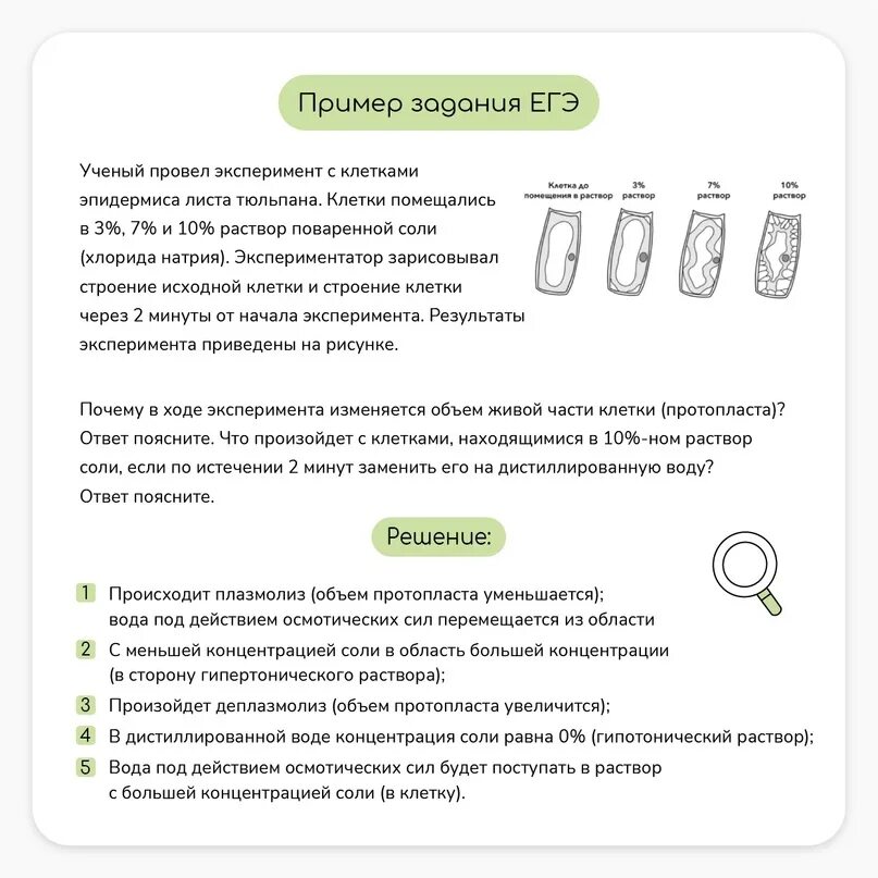 Задания на эксперимент биология егэ. Егэ био. корень егэ био. осмос опыт егэ био. 1 задание егэ био шпора 2025.