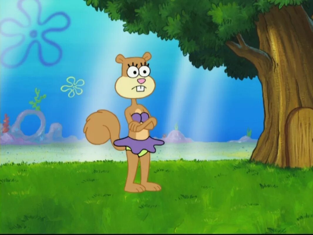 Сэнди чикс. Сэнди чикс спасти бикини боттом. Губка боб белка сэнди. Патрик боб и сэнди. Сэнди чикс 1999.