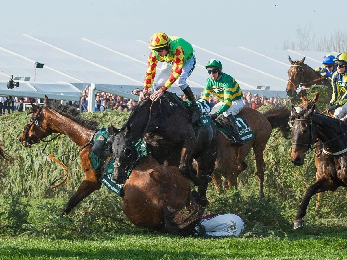 Скачки grand national. Стипль-чез скачки. Скачки лошадей стипль-чез. Grand national aintree. Гонки на лошадях в великобритании.