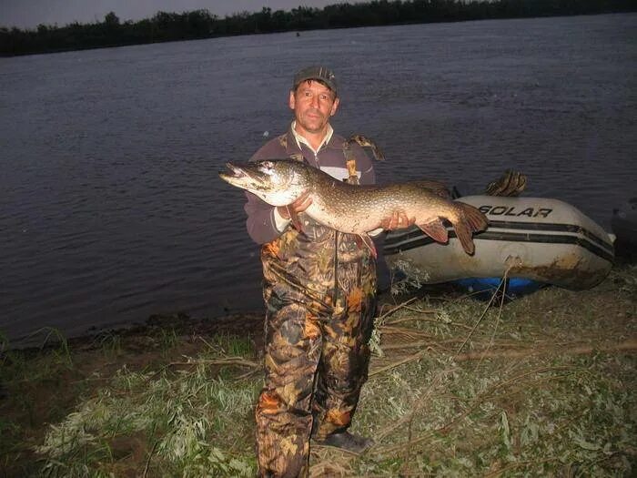 Молчаново томская область рыбалка. Щука на оби. Парабель томская область рыбалка. Река чулым томская область рыбалка. Рыбалка на оби в томской области.