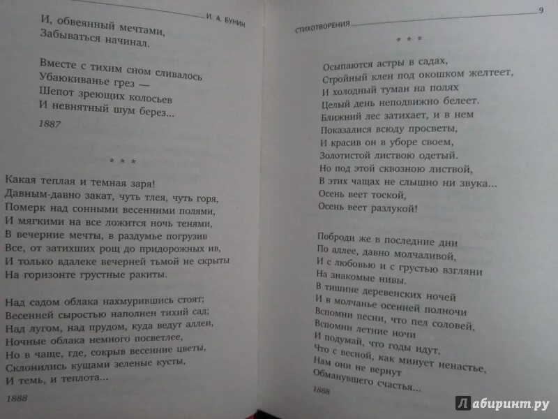 Стихотворение последний шмель. Стихотворение Бунина ночь. Крещенская ночь Бунин стихотворение. Ночь Бунин анализ.