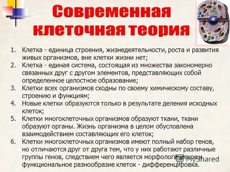 Перечислить положение клеточной теории. Современные положения клеточной теории. основные положения современной клеточной теории. перечислите основные положения клеточной теории. клеточная теория основные положения клеточной теории.