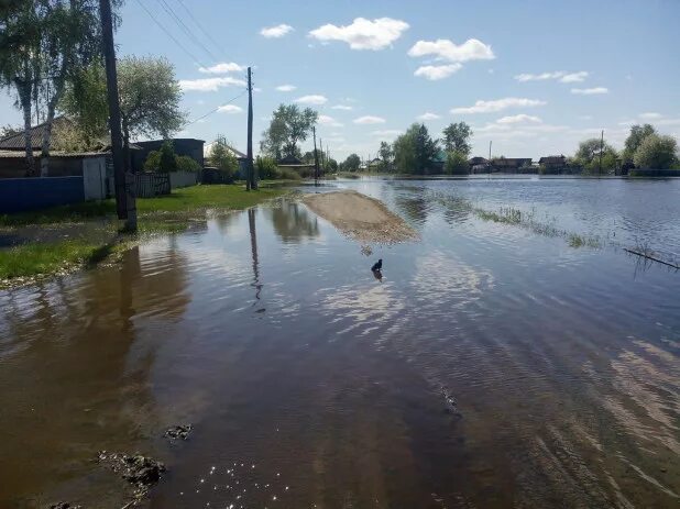 Погода в вылково алтайского края