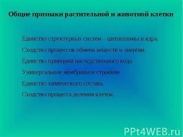 Укажите признаки клетки