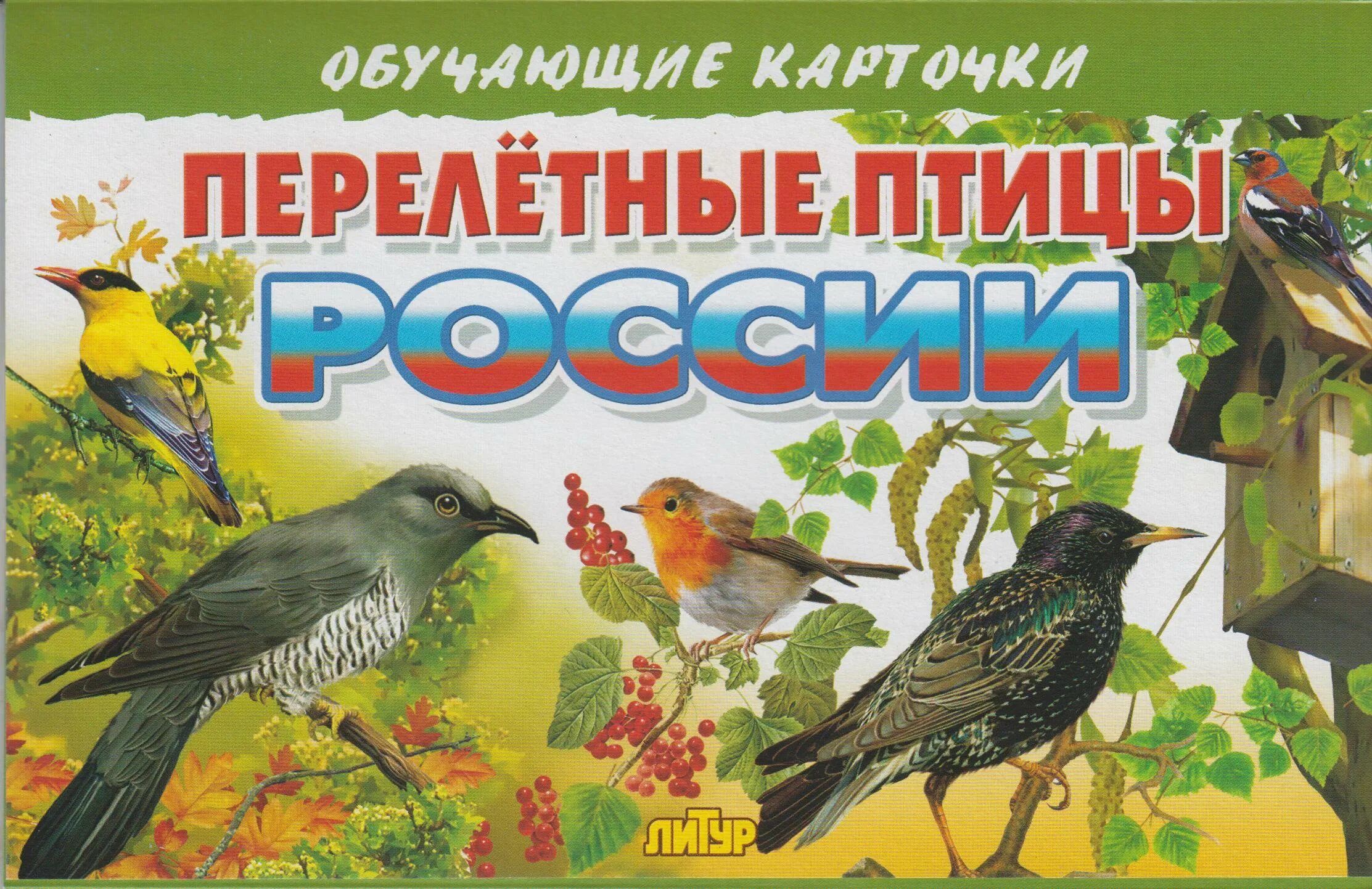 Перелетные птицы содержание всех серий. Обучающие карточки литур &quot;перелетные птицы&quot;. перелетные птицы россии карточки. птицы. энциклопедия. перелетные птицы россии для детей.