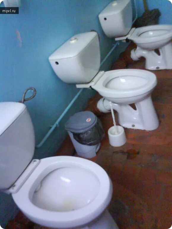 Напротив унитаза. Школьный унитаз. Школьный туалет без унитазов. Унитазы без перегородок. Туалет в школе для девочек.