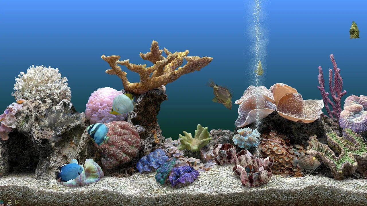 Marine aquarium. Аквариум 3д. Скринсейвер Dream Aquarium. Морской аквариум камни. 3d аквариум на рабочий стол.