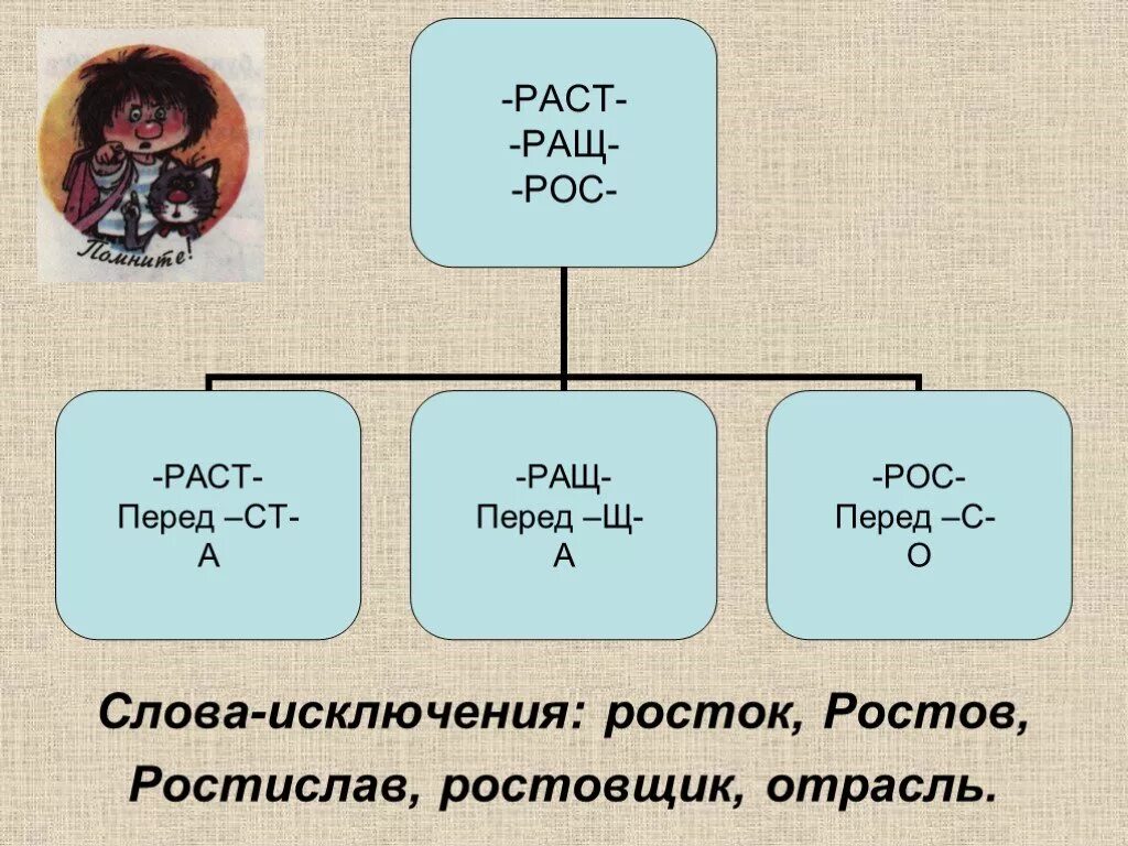 Корень рос от чего зависит. Раст ращ рос. Раст ращ чередование.