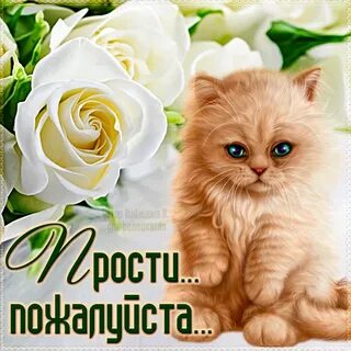 Картинка с надписью прости