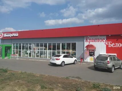 Клевер югорск