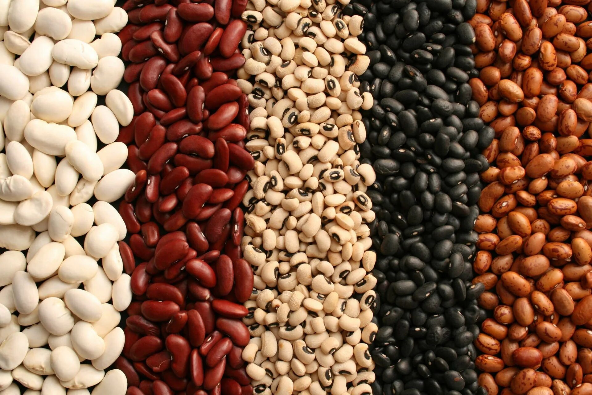 Beans build. Beans build