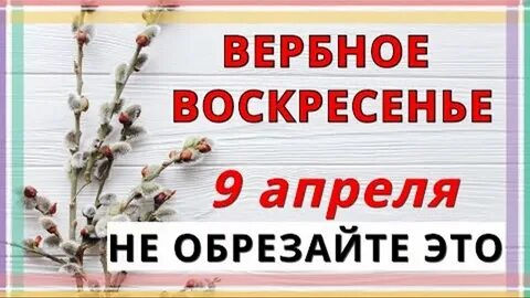 9 сентября воскресенье