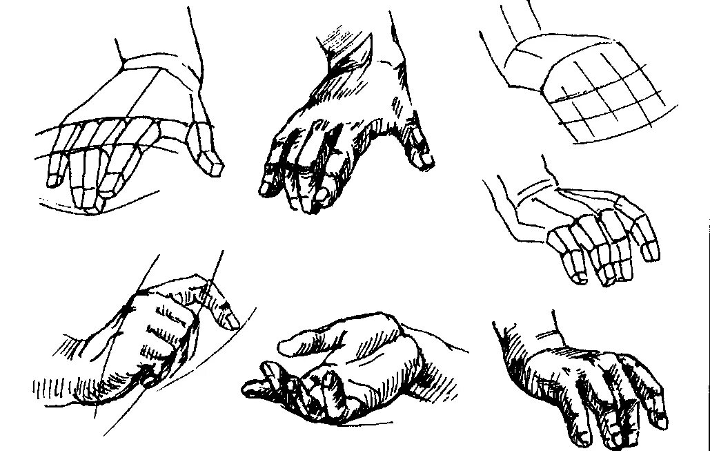 Конструктивное построение кисти руки. Кисть руки схема. Кисти рук для рисования. Построение руки рисунок.