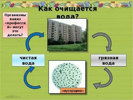 Что такое химия окружающий мир 3 класс