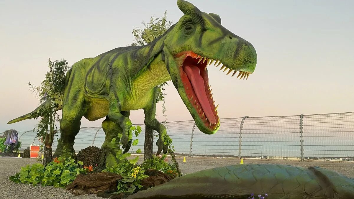 Dino s