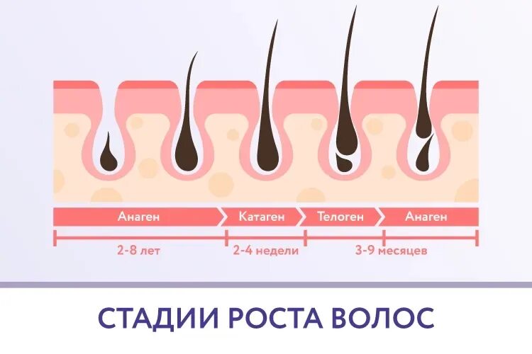 Волосы не растут в длину что делать