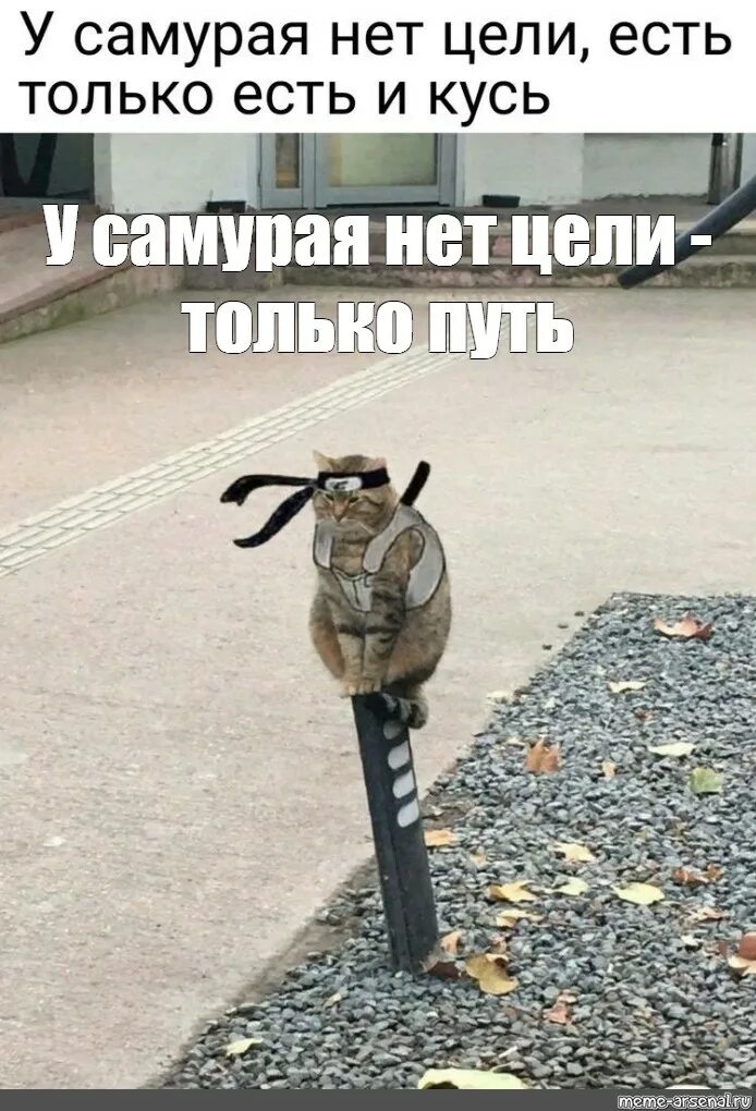 Фраза у самурая нет цели. Фраза у самурая нет цели