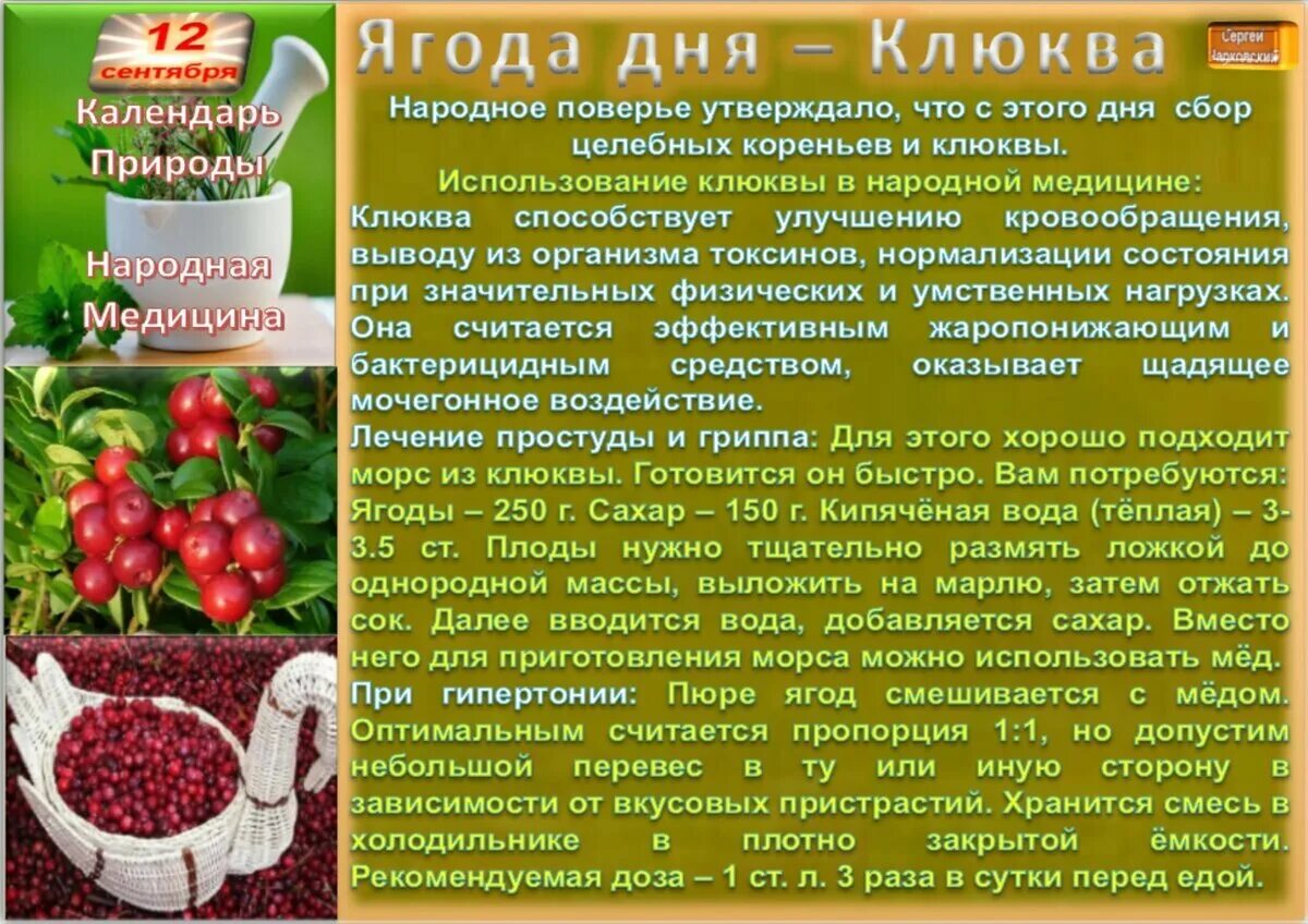 Стали брусника дни. 9 Августа народный календарь. 8 Августа народный календарь. Календарь ягод. День брусники.