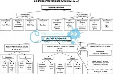 Основы фонетики