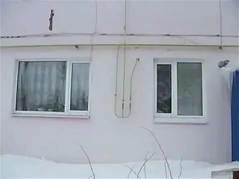 Авито пестрецы