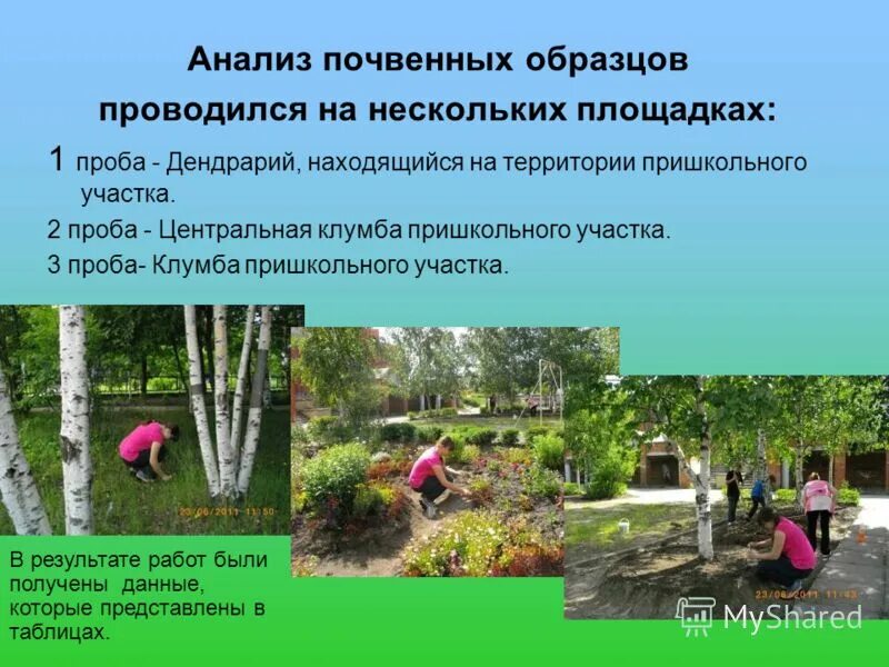 Экология пришкольного участка. Рахья лен обл. Проектная работа на пришкольном участке. Ленинградская область, всеволожский район, д. Проба всеволожский район ленинградской области.