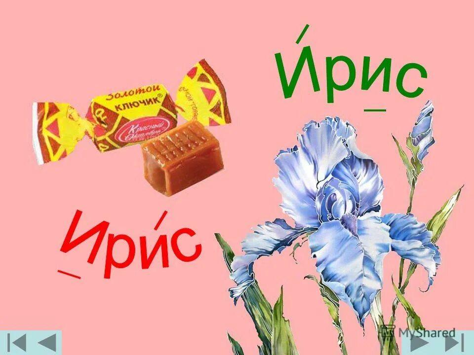Ирис по слогам. Астра слоги схема. Ирис по слогам. Разбор звуковых схем 1 класс. Ударение задания для детей.
