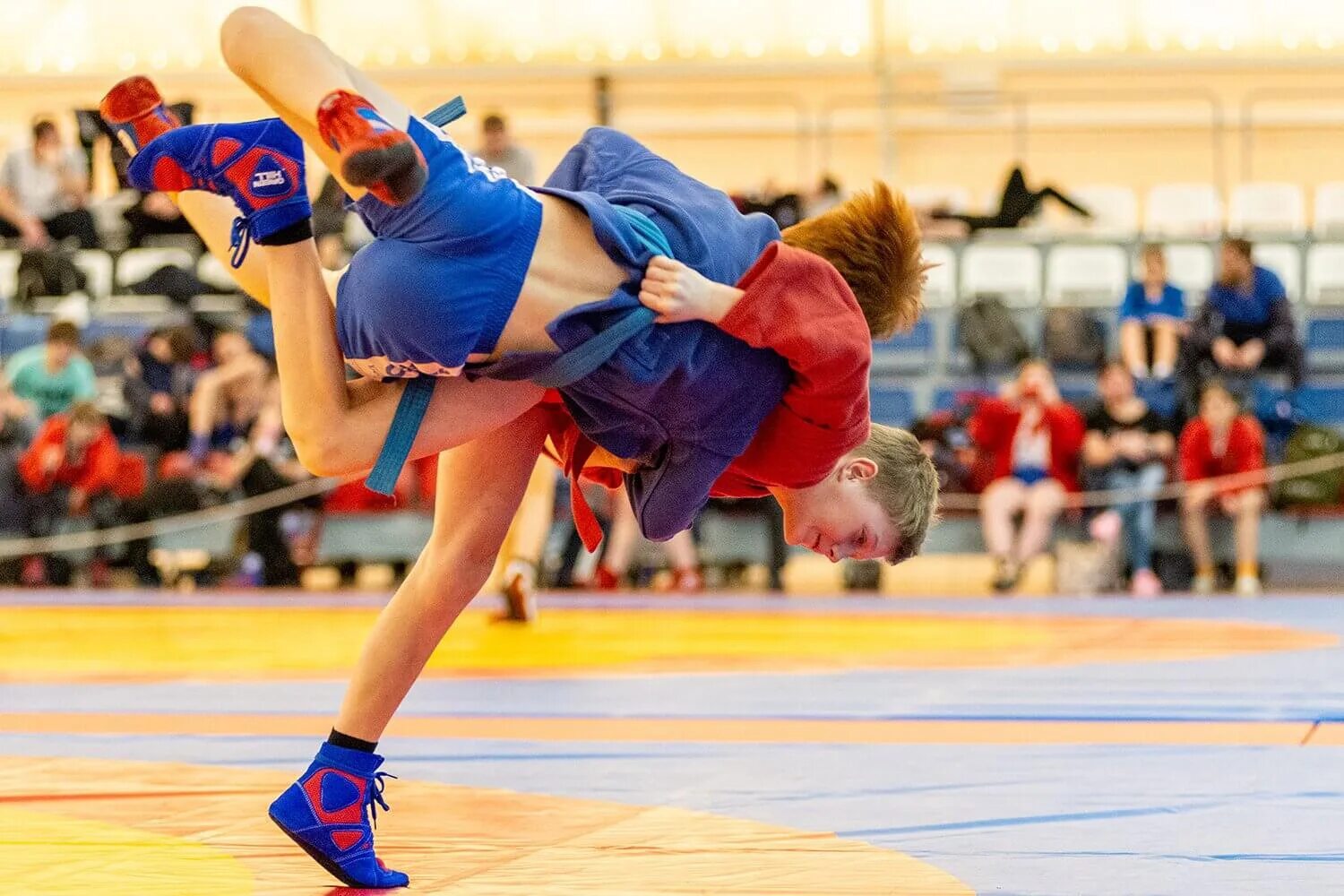 Базовые приемы боевого самбо. Самбо для начинающих видео. Захваты в самбо. Базовые приемы боевого самбо. Борьба в партере самбо приемы.