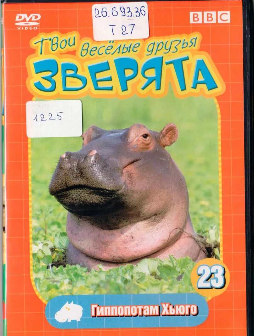 твои весёлые друзья зверята пингвин. твои веселые игры. мои веселые друзья зверята. Bbc твои веселые друзья зверята. мои веселые друзья зверята.