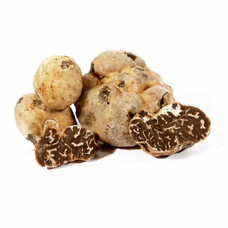 Экстракт черного трюфеля. Голубой сухой экстракт. Экстракт черного трюфеля. Экстракт трюфеля. Сухие экстракты.