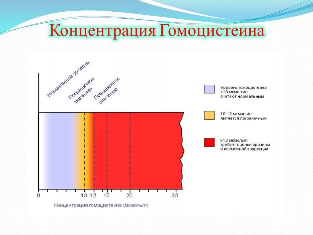 Гомоцистеин норма у мужчин. Концентрация гомоцистеина. Уровень гомоцистеина. Гомоцистеина в крови. Концентрация гомоцистеина нормальная.