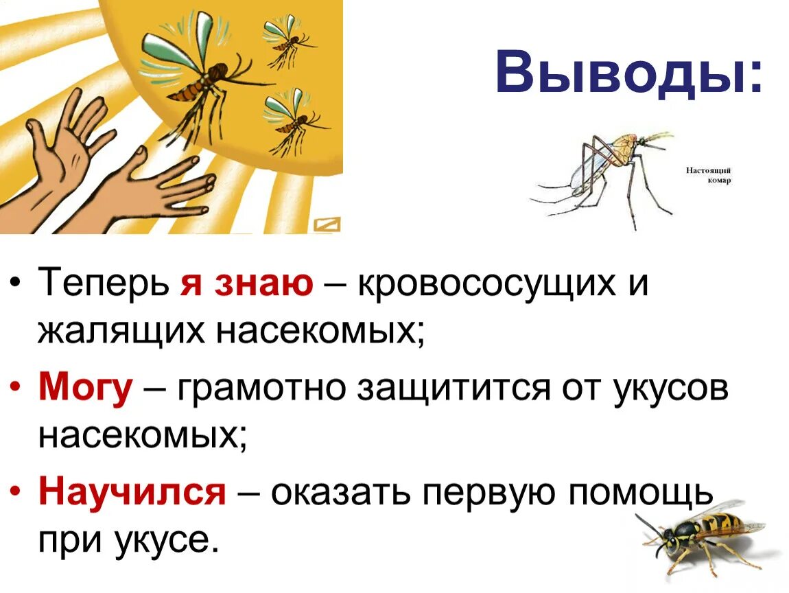 Как защититься от осы