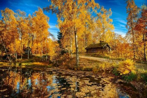 Красота осеннего пейзажа