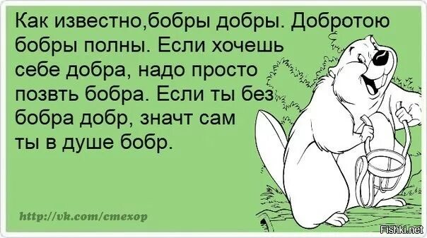 Бобры выражение