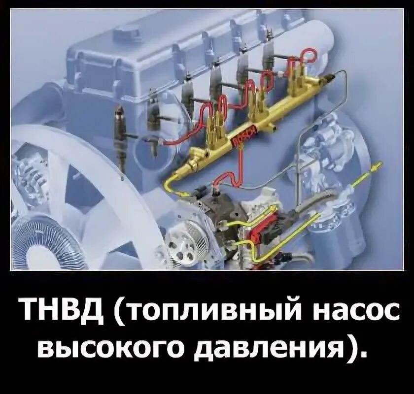 Назначение устройство тнвд. Назначение устройство тнвд