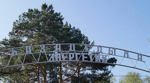 Сетевой край новоалтайск