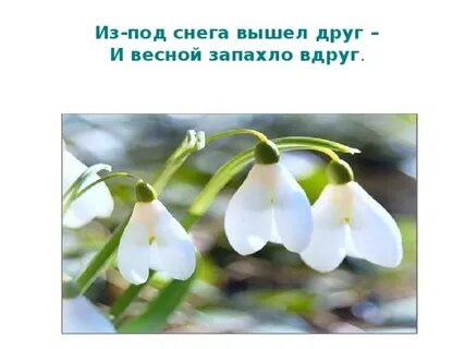 Вдруг запахло весной
