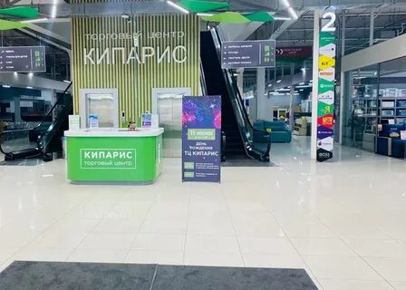 Кипарис смоленск медицинский