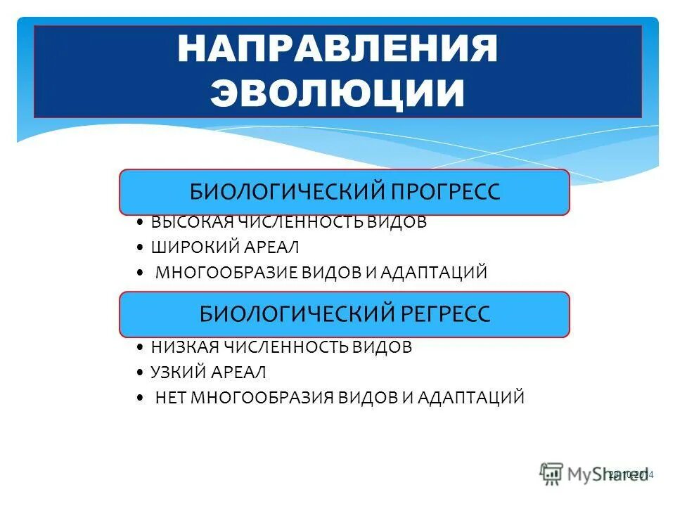 Многообразие видов биологический прогресс. Многообразие видов биологический прогресс