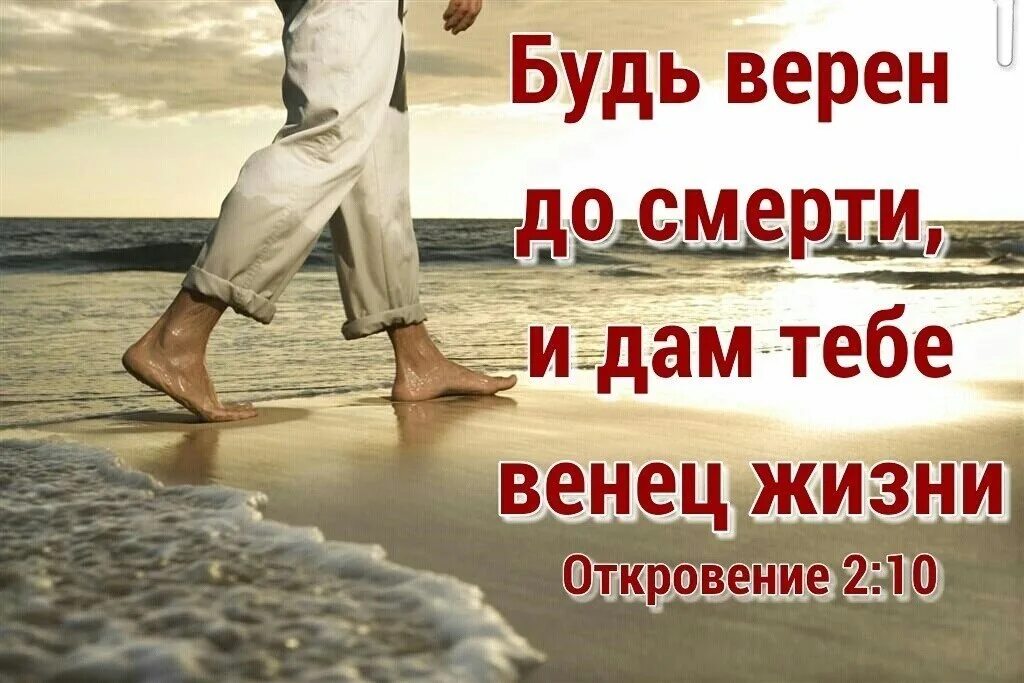 Будь сильным будь верным. И дам тебе венец жизни. Будь верен до смерти и дам тебе венец. Получу венец жизни. Будь верен до смерти и дам тебе.